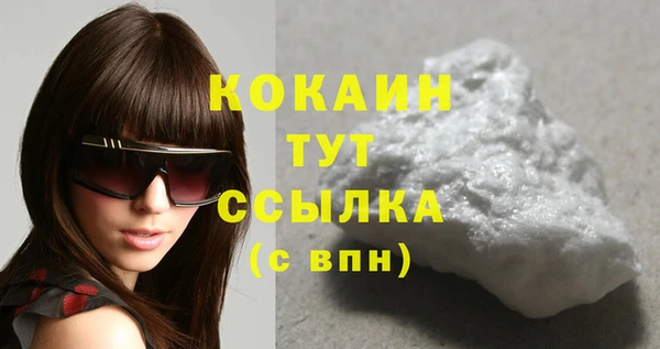 дмт Инта