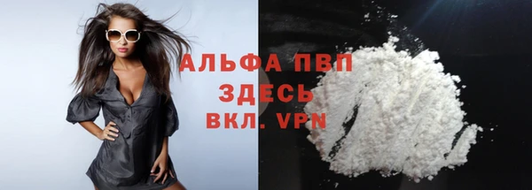 ECSTASY Иннополис