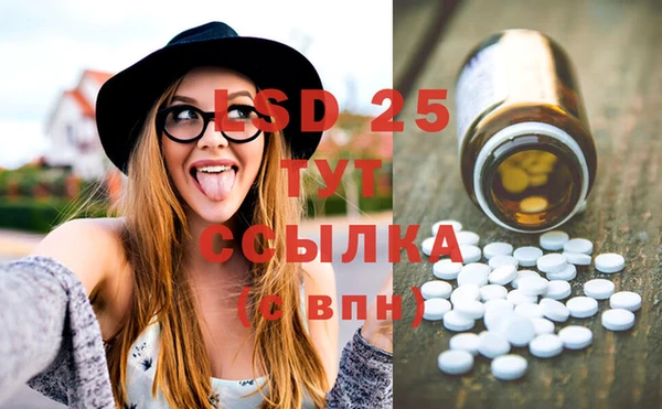 дмт Инта