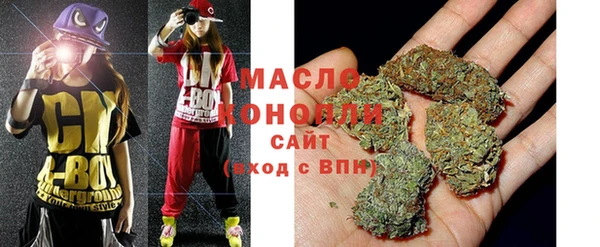 дмт Инта