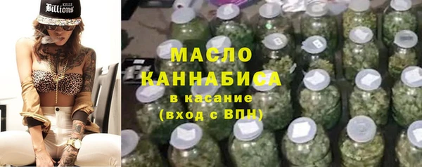 дмт Инта