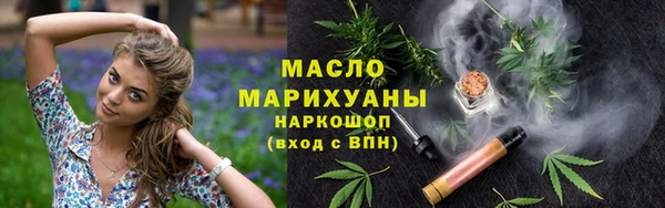 дмт Инта