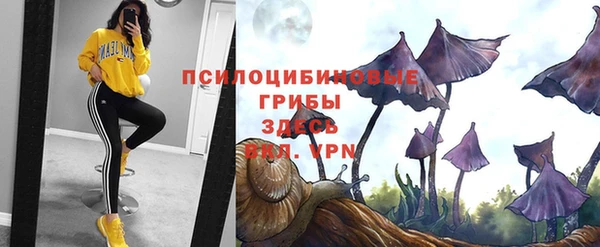 ECSTASY Иннополис